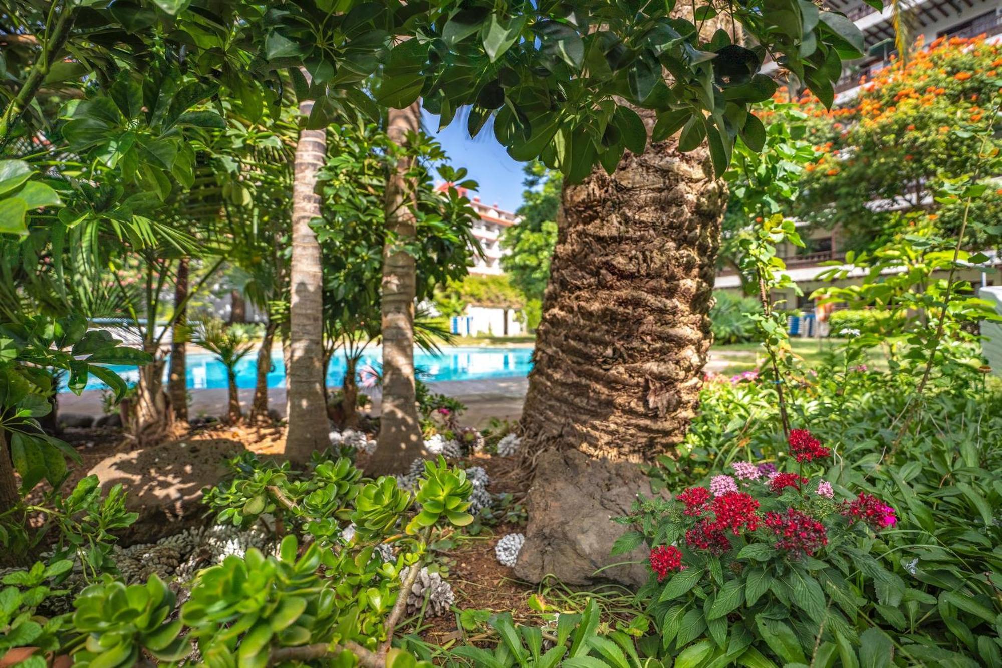 Coral Teide Mar Aparthotel Пуерто де ла Крус Екстериор снимка